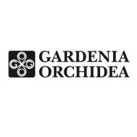 Gardenia orchidea
